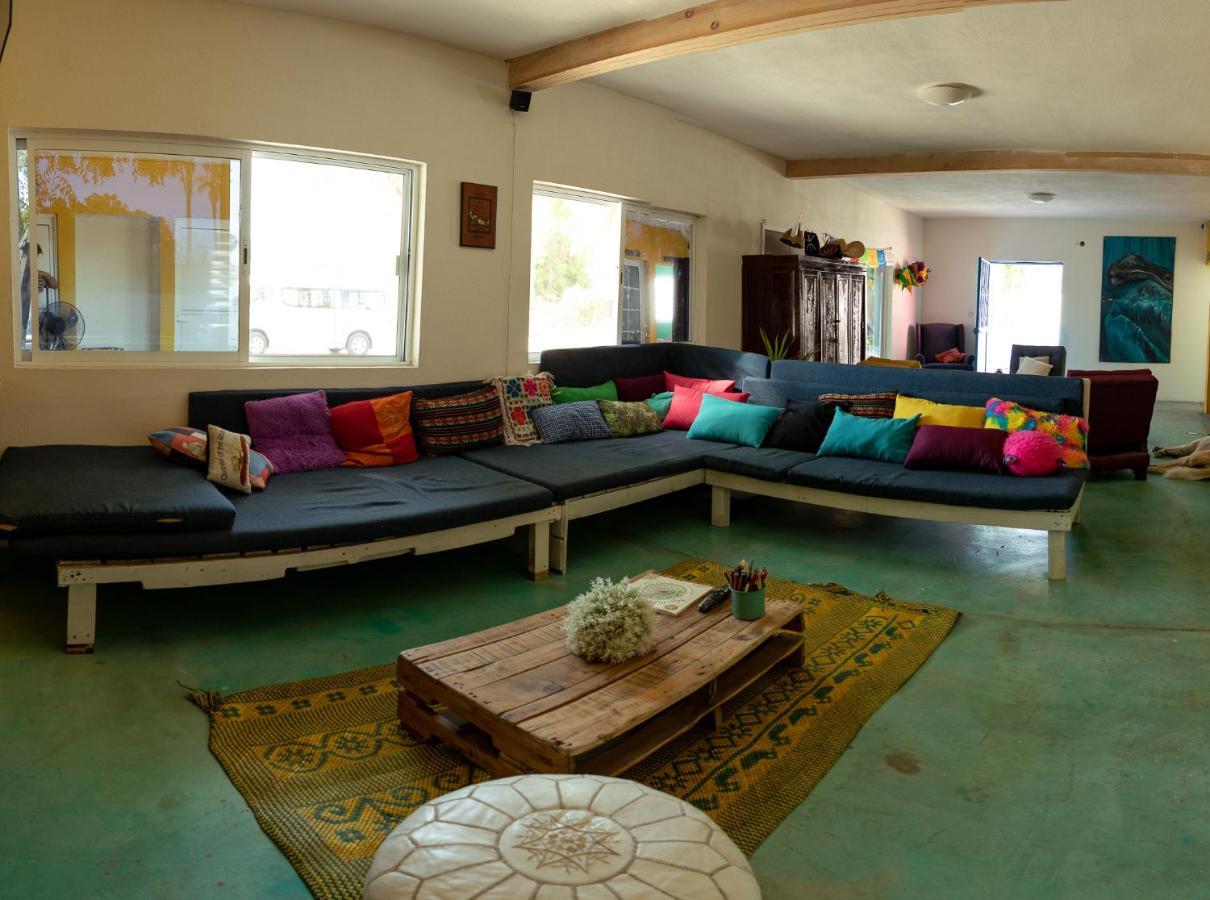 Peace Hostel Mx La Paz Eksteriør billede