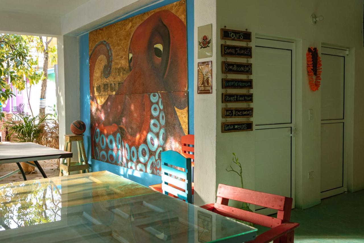 Peace Hostel Mx La Paz Eksteriør billede
